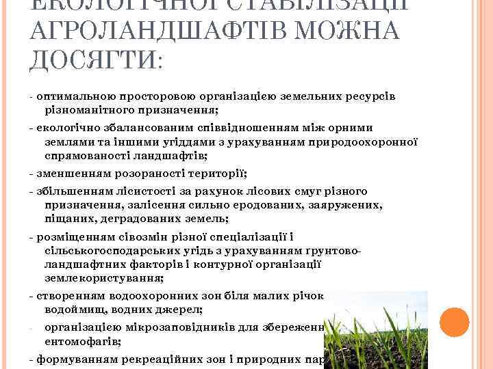 ЕКОЛОГІЧНОЇ СТАБІЛІЗАЦІЇ АГРОЛАНДШАФТІВ МОЖНА ДОСЯГТИ: - оптимальною просторовою організацією земельних ресурсів різноманітного призначення; -