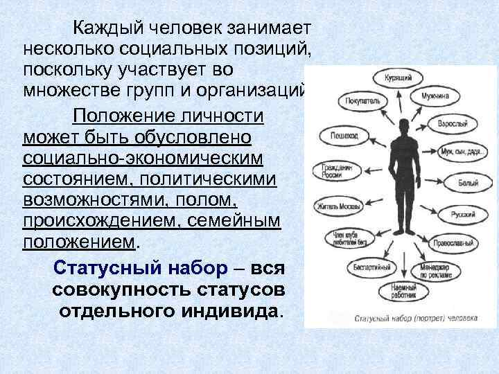 Каждый человек занимает несколько социальных позиций, поскольку участвует во множестве групп и организаций. Положение