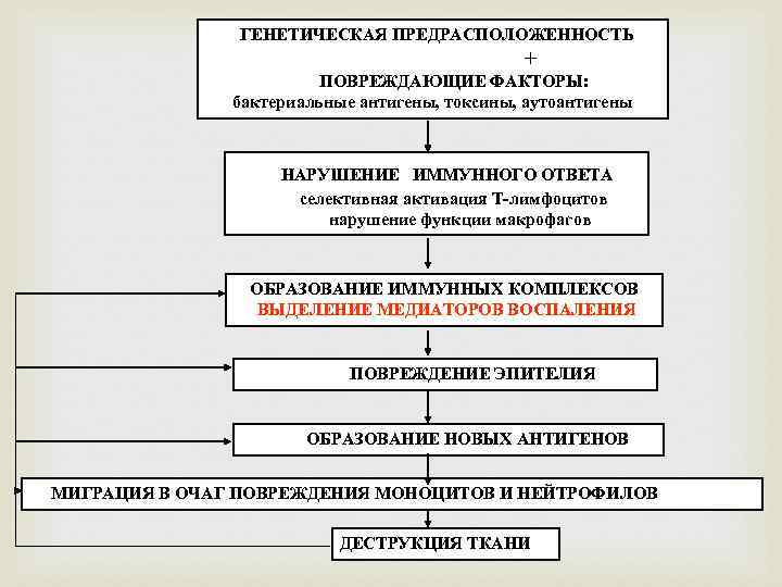 ГЕНЕТИЧЕСКАЯ ПРЕДРАСПОЛОЖЕННОСТЬ + ПОВРЕЖДАЮЩИЕ ФАКТОРЫ: бактериальные антигены, токсины, аутоантигены НАРУШЕНИЕ ИММУННОГО ОТВЕТА селективная активация