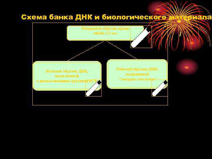 Схема банка ДНК и биологического материала Резервный образец крови объём 1, 5 мл Базовый