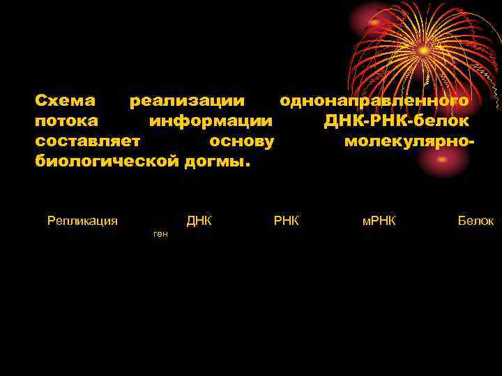 Схема реализации однонаправленного потока информации ДНК РНК белок составляет основу молекулярно биологической догмы. Репликация
