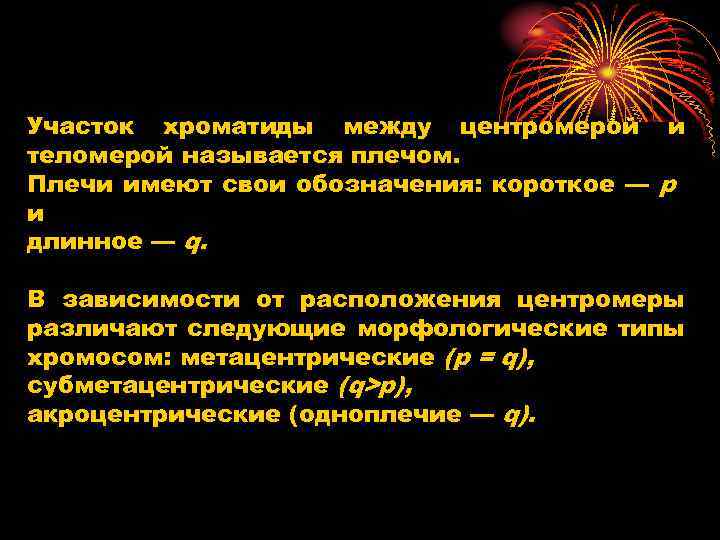 Участок хроматиды между центромерой и теломерой называется плечом. Плечи имеют свои обозначения: короткое —