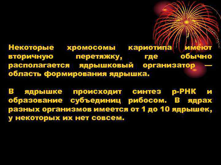 Некоторые хромосомы кариотипа имеют вторичную перетяжку, где обычно располагается ядрышковый организатор — область формирования