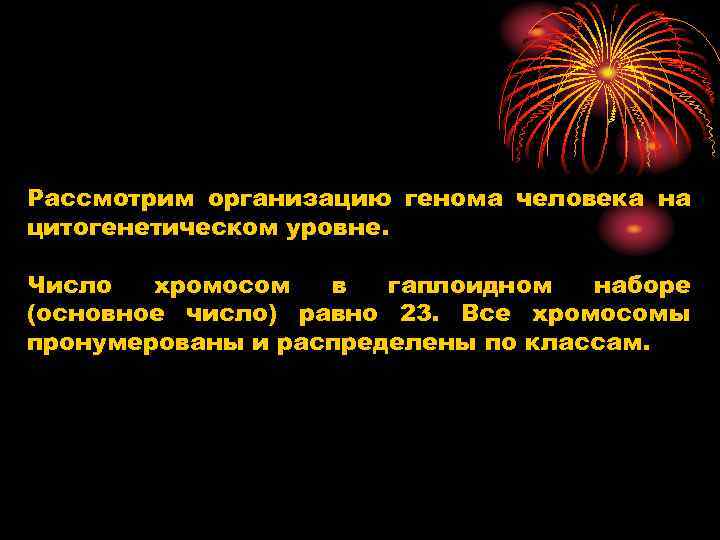 Рассмотрим организацию генома человека на цитогенетическом уровне. Число хромосом в гаплоидном наборе (основное число)
