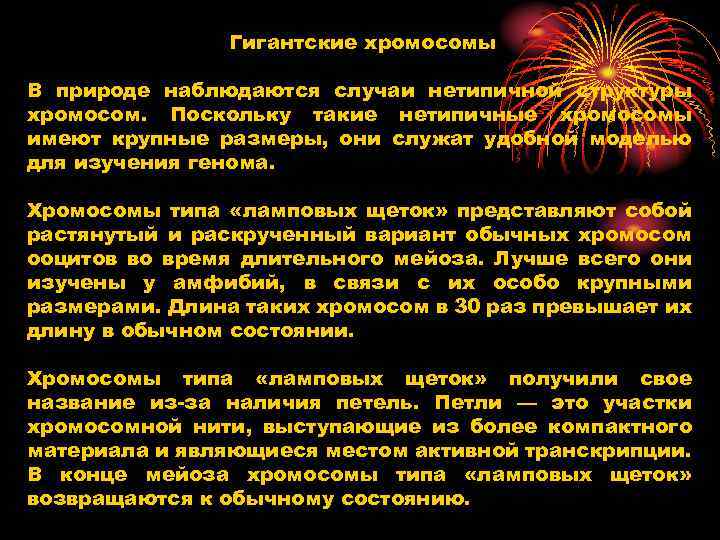 Гигантские хромосомы В природе наблюдаются случаи нетипичной структуры хромосом. Поскольку такие нетипичные хромосомы имеют