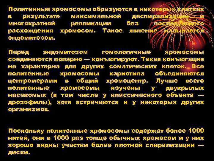 Политенные хромосомы образуются в некоторых клетках в результате максимальной деспирализации и многократной репликации без