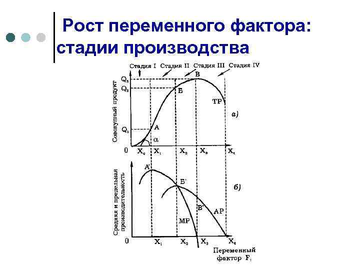 Рост переменного фактора: стадии производства 