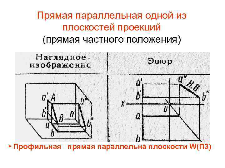 Проекция геометрия