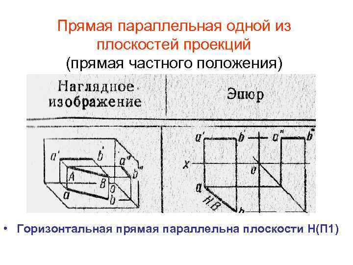 Прямая параллельная одной из плоскостей проекций (прямая частного положения) • Горизонтальная прямая параллельна плоскости