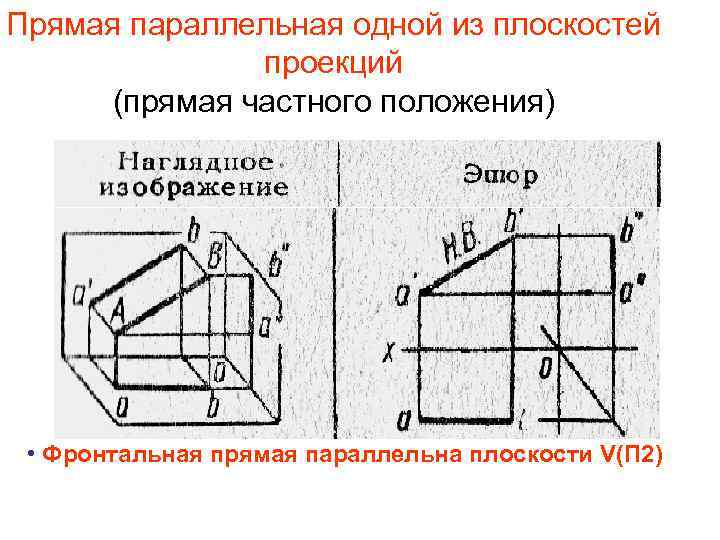 Найти проекцию прямой на плоскость. Параллельно фронтальной плоскости проекций. Прямая параллельная одной плоскости проекций. Прямые частного положения проецирующие. Прямая частного положения в начертательной геометрии.