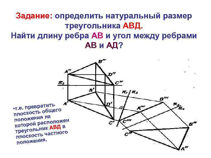 Задание: определить натуральный размер треугольника АВД. Найти длину ребра АВ и угол между ребрами