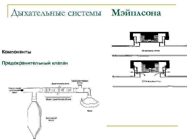 Дыхательные системы Компоненты Предохранительный клапан Мэйплсона 
