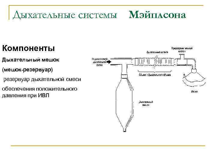 Дыхательные системы Компоненты Дыхательный мешок (мешок-резервуар) резервуар дыхательной смеси обеспечения положительного давления при ИВЛ