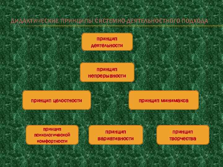 ДИДАКТИЧЕСКИЕ ПРИНЦИПЫ СИСТЕМНО-ДЕЯТЕЛЬНОСТНОГО ПОДХОДА принцип деятельности принцип непрерывности принцип целостности принцип психологической комфортности принцип