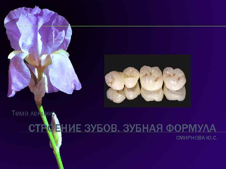 Тема лекции: СТРОЕНИЕ ЗУБОВ. ЗУБНАЯ ФОРМУЛА СМИРНОВА Ю. С. 