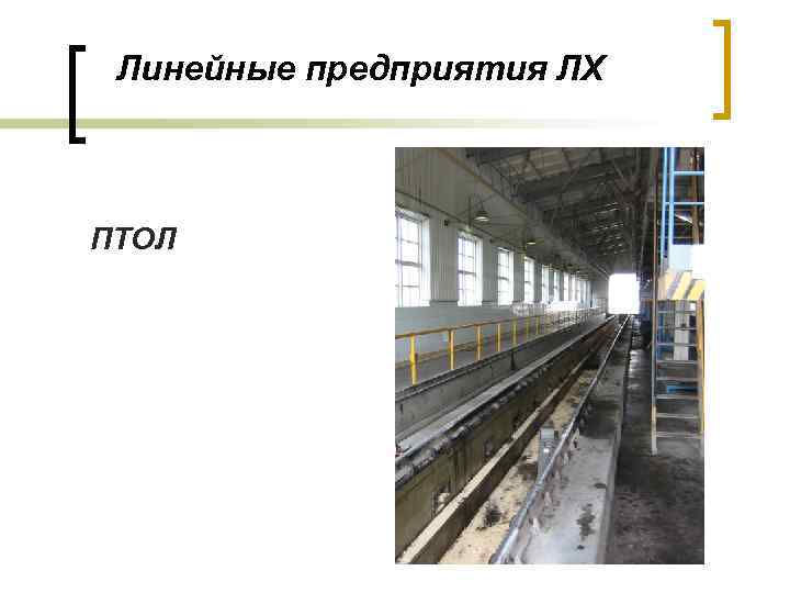 Линейные предприятия ЛХ ПТОЛ 