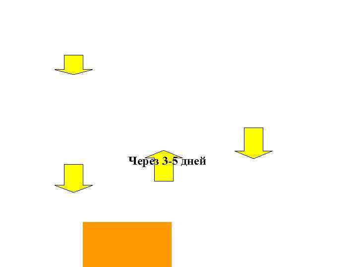 Через 3 -5 дней 