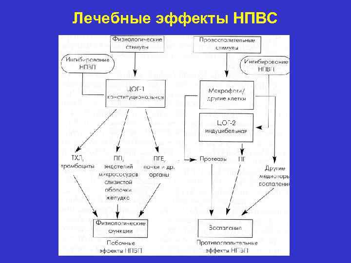 Лечебные эффекты НПВС 
