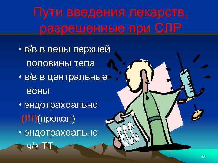 Пути введения лекарств, разрешенные при СЛР • в/в в вены верхней половины тела •