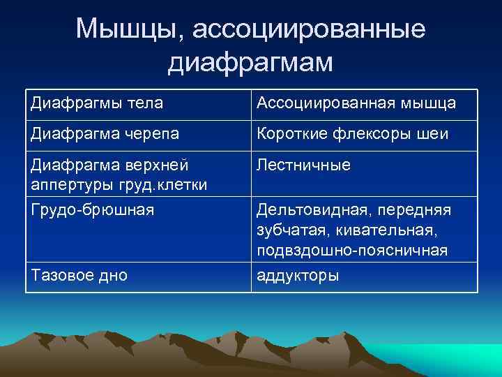 Мышцы, ассоциированные диафрагмам Диафрагмы тела Ассоциированная мышца Диафрагма черепа Короткие флексоры шеи Диафрагма верхней
