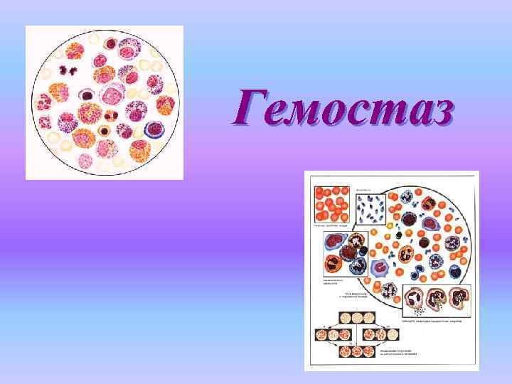 Гемостаз 