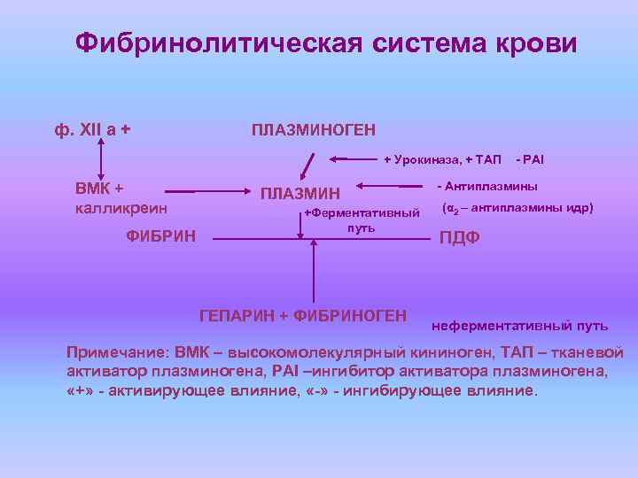 Фибринолитическая система крови схема