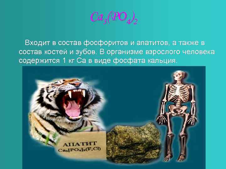 Ca 3(PO 4)2 Входит в состав фосфоритов и апатитов, а также в состав костей