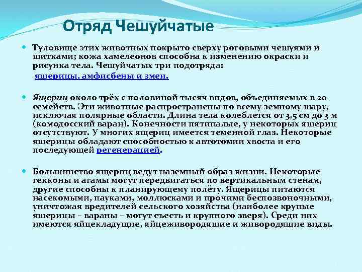  Отряд Чешуйчатые Туловище этих животных покрыто сверху роговыми чешуями и щитками; кожа хамелеонов