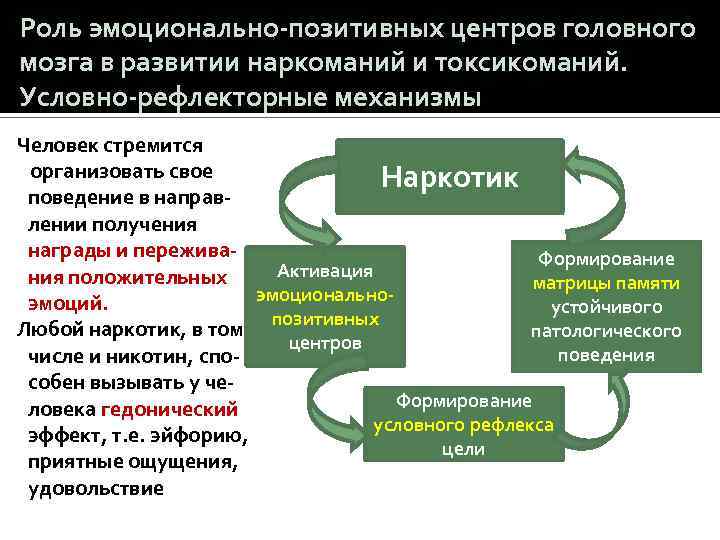 Роль эмоционально-позитивных центров головного мозга в развитии наркоманий и токсикоманий. Условно-рефлекторные механизмы Человек стремится