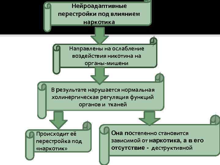 Нейроадаптивные перестройки под влиянием наркотика Направлены на ослабление воздействия никотина на органы-мишени В результате