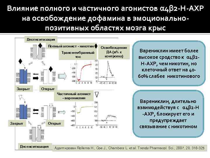 Влияние полного и частичного агонистов α 4β 2 -Н-АХР на освобождение дофамина в эмоциональнопозитивных