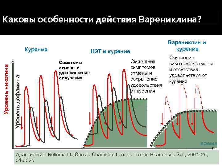 Каковы особенности действия Варениклина? Уровень дофамина Уровень никотина Курение Варениклин и курение НЗТ и