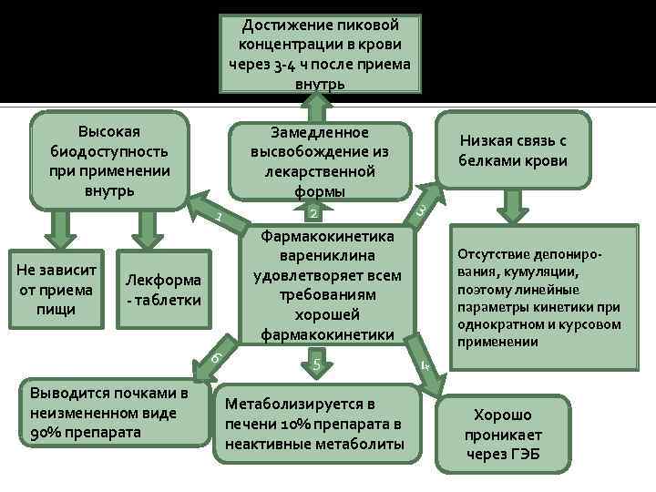 Достижение пиковой концентрации в крови через 3 -4 ч после приема внутрь Высокая биодоступность