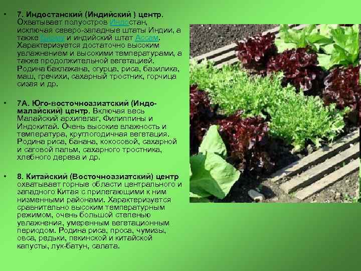  • • • 7. Индостанский (Индийский ) центр. Охватывает полуостров Индостан, исключая северо