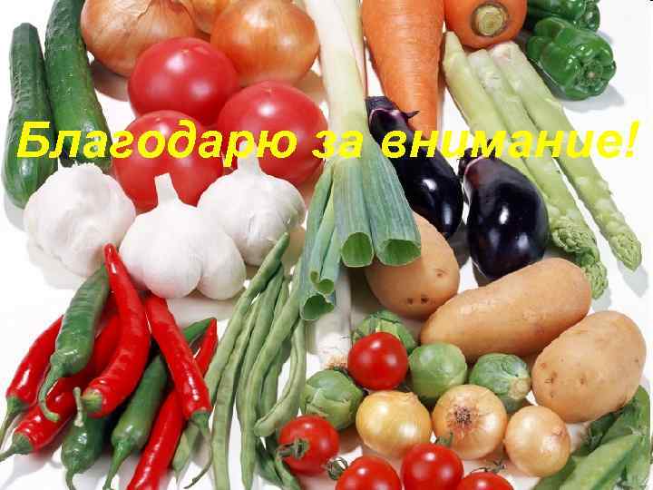 Благодарю за внимание! 