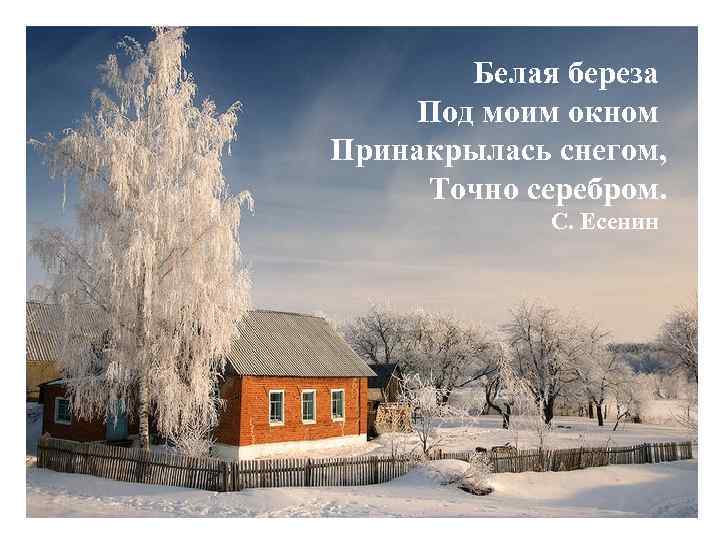 Белая береза Под моим окном Принакрылась снегом, Точно серебром. С. Есенин 