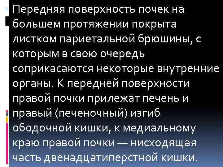  Передняя поверхность почек на большем протяжении покрыта листком париетальной брюшины, с которым в