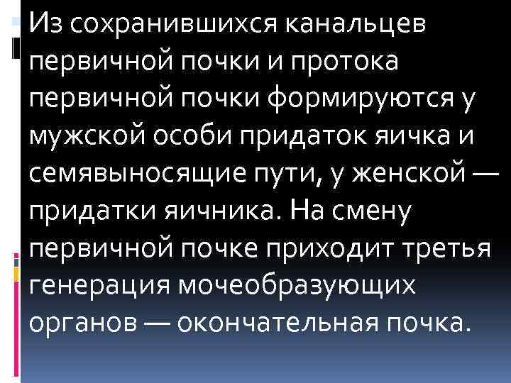  Из сохранившихся канальцев первичной почки и протока первичной почки формируются у мужской особи