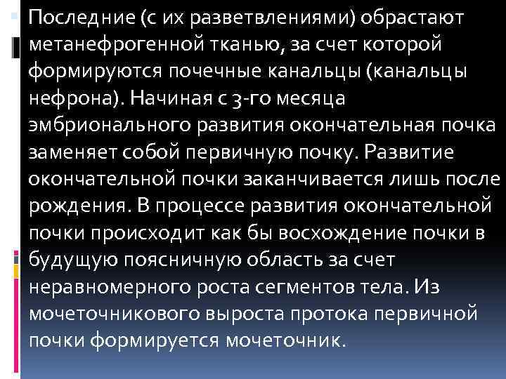  Последние (с их разветвлениями) обрастают метанефрогенной тканью, за счет которой формируются почечные канальцы