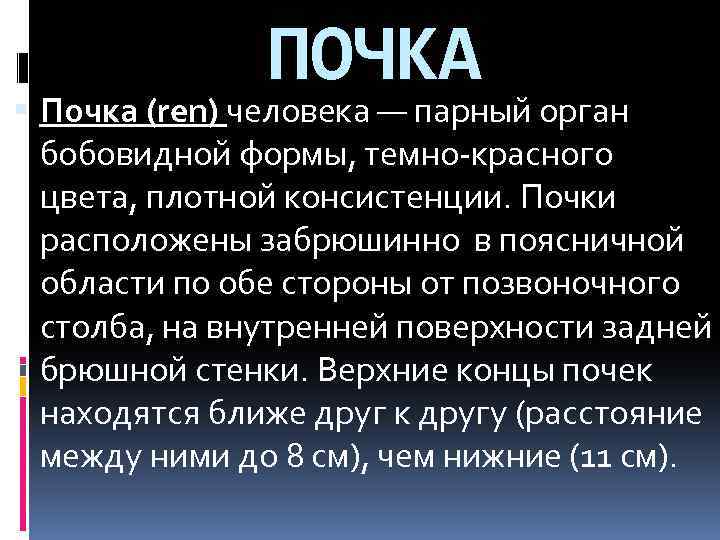 ПОЧКА Почка (rеn) человека — парный орган бобовидной формы, темно-красного цвета, плотной консистенции. Почки