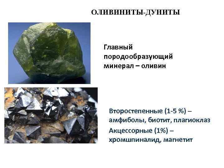 ОЛИВИНИТЫ-ДУНИТЫ Главный породообразующий минерал – оливин Второстепенные (1 -5 %) – амфиболы, биотит, плагиоклаз