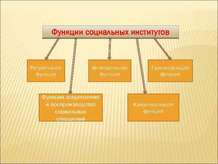 Социальные функции университета