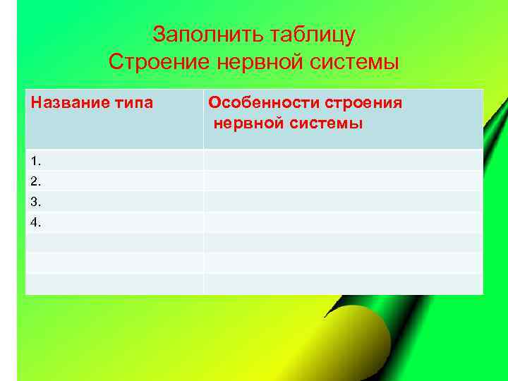 Заполнить таблицу Строение нервной системы Название типа 1. 2. 3. 4. Особенности строения нервной