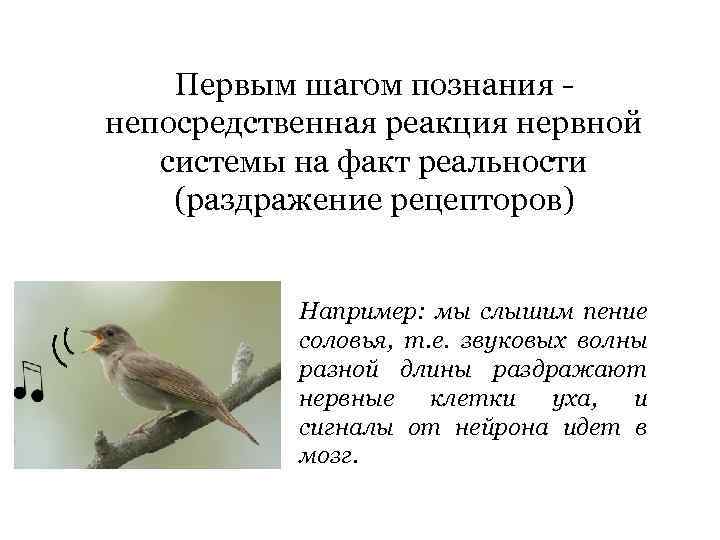 Первым шагом познания непосредственная реакция нервной системы на факт реальности (раздражение рецепторов) Например: мы