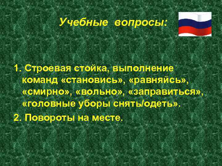 Выполнение команд становись равняйсь смирно вольно