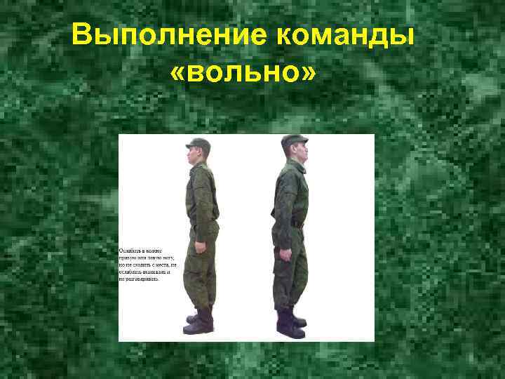 Выполнение команды «вольно» 