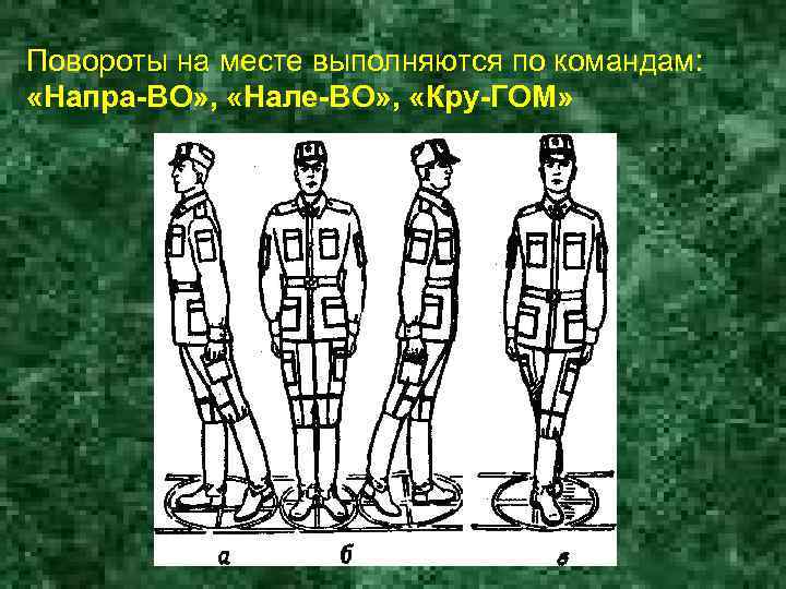 Повороты на месте выполняются по командам: «Напра-ВО» , «Нале-ВО» , «Кру-ГОМ» 