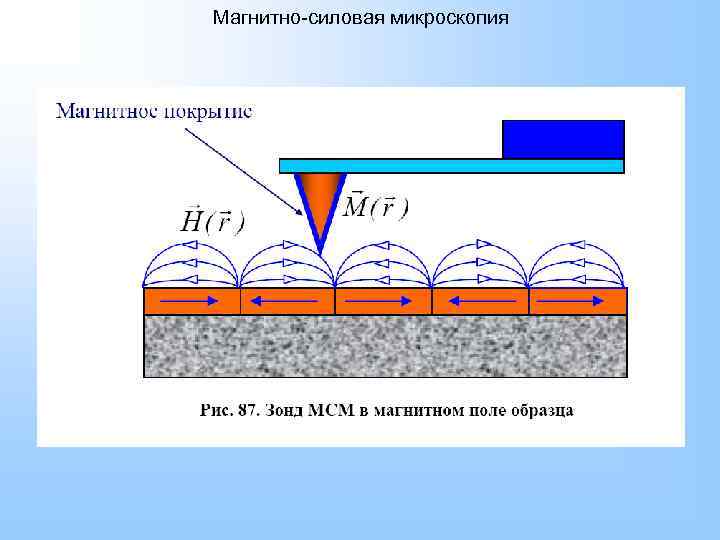 Магнитно-силовая микроскопия 