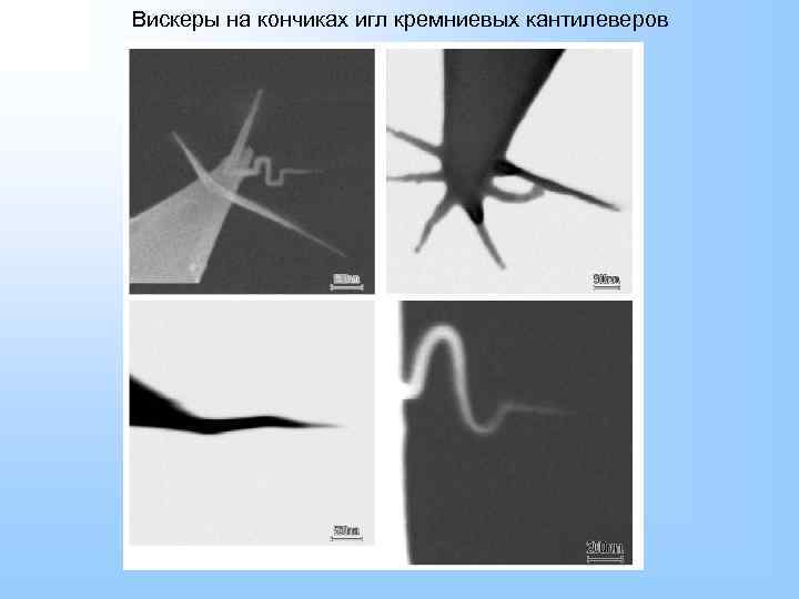 Вискеры на кончиках игл кремниевых кантилеверов 