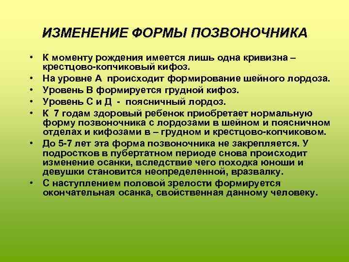 ИЗМЕНЕНИЕ ФОРМЫ ПОЗВОНОЧНИКА • К моменту рождения имеется лишь одна кривизна – крестцово-копчиковый кифоз.